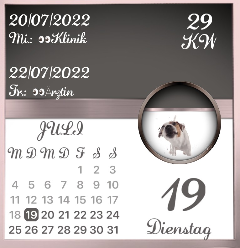 Kalender Hund Schlecker Lecker 