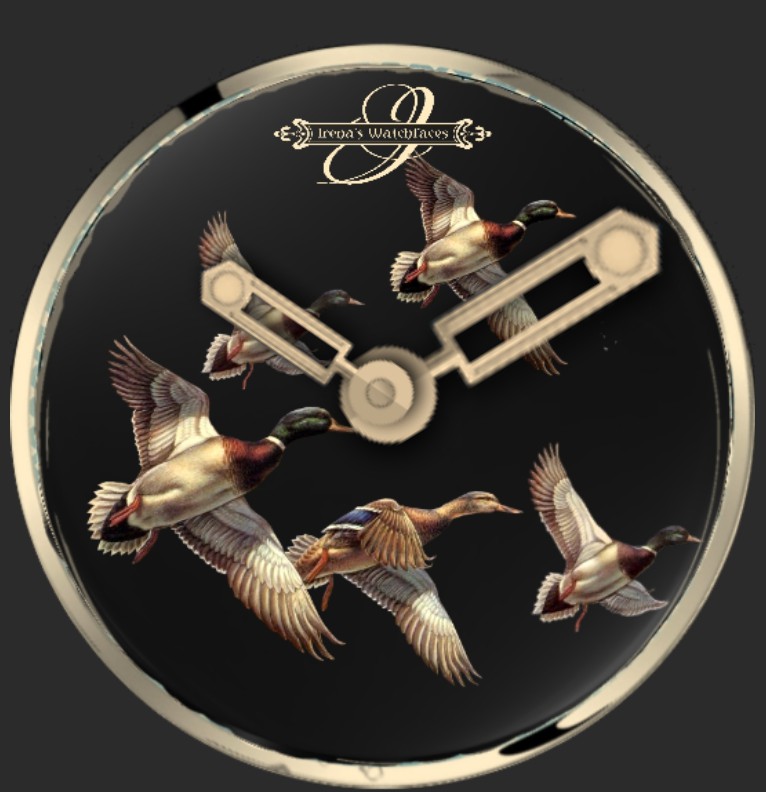 Clock Zugvoegel Herbst 