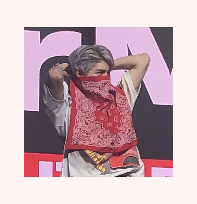 ty scarf