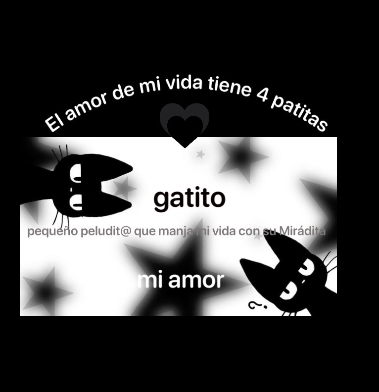 gatitowidget