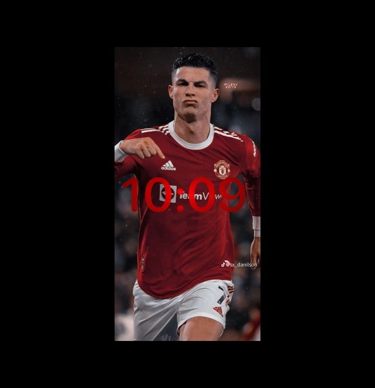 el bicho