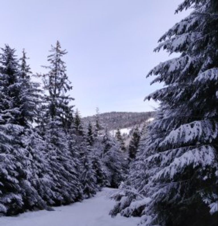 snow pics