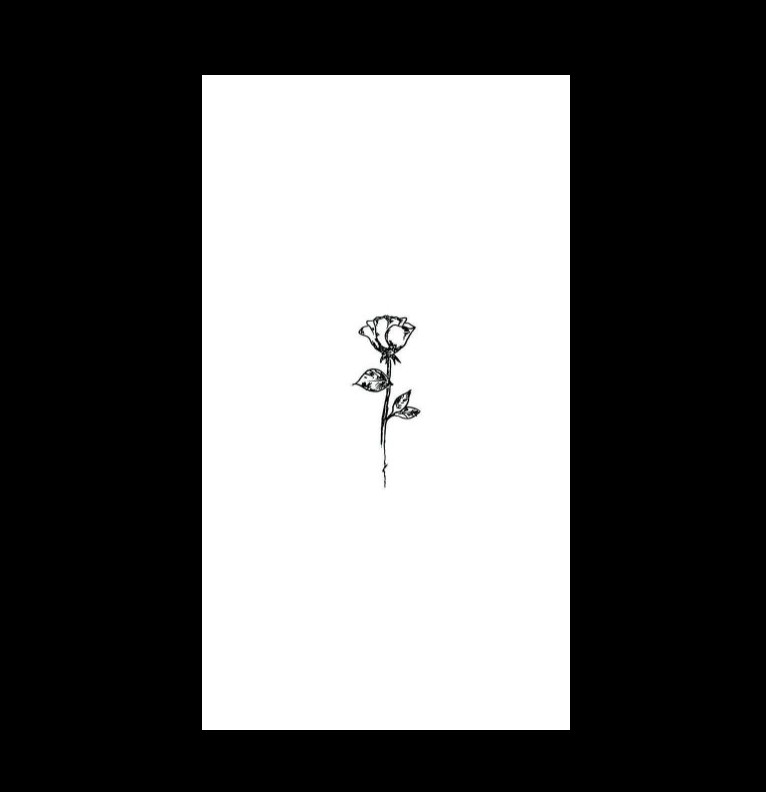 black rose