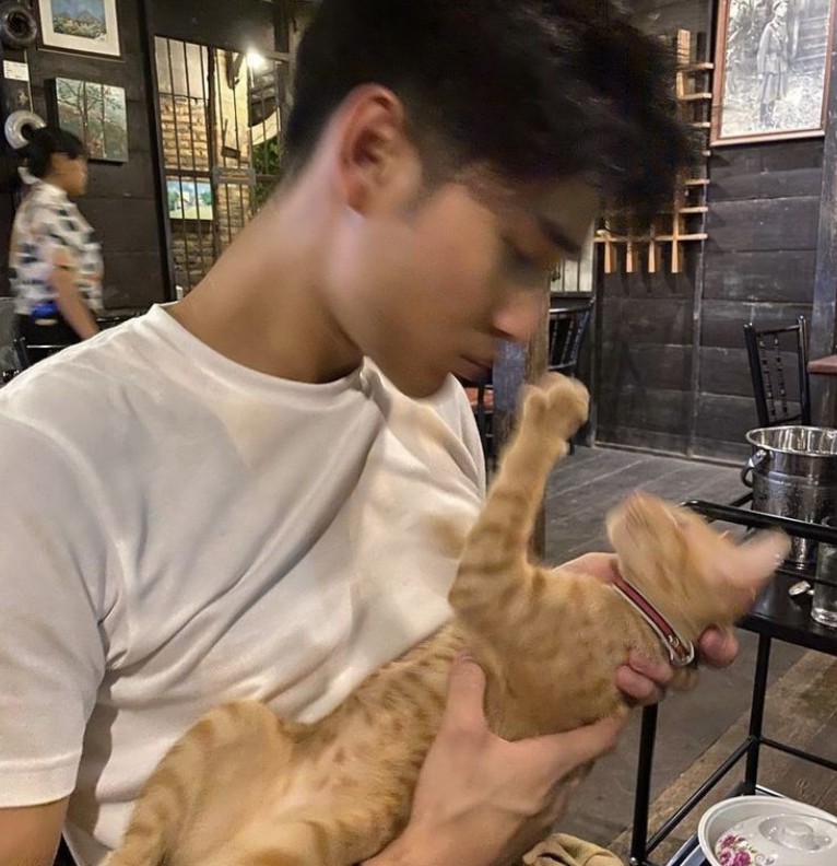 Apocat