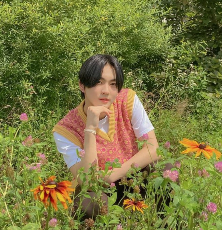 jungwon widget