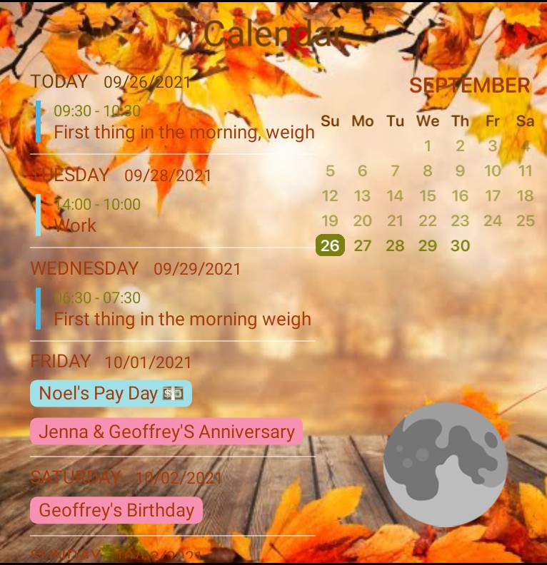 Agenda Large + weather + pic Copy