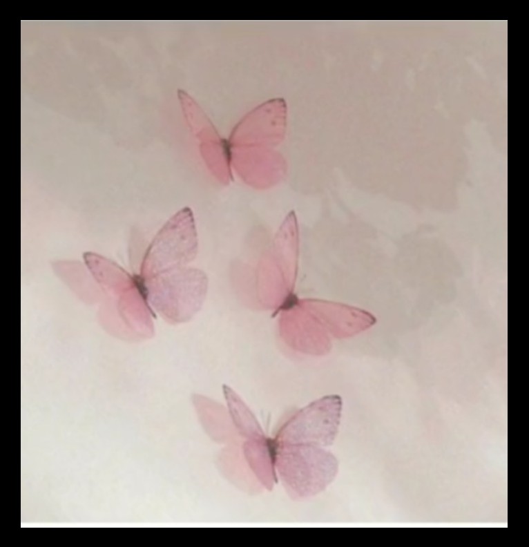 Pink Butterflys