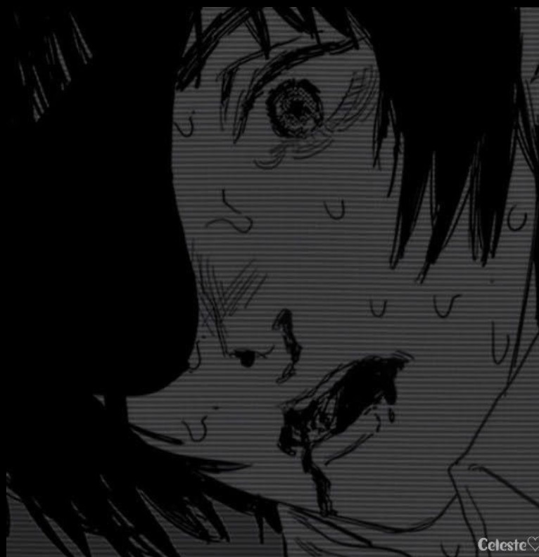 himeno3