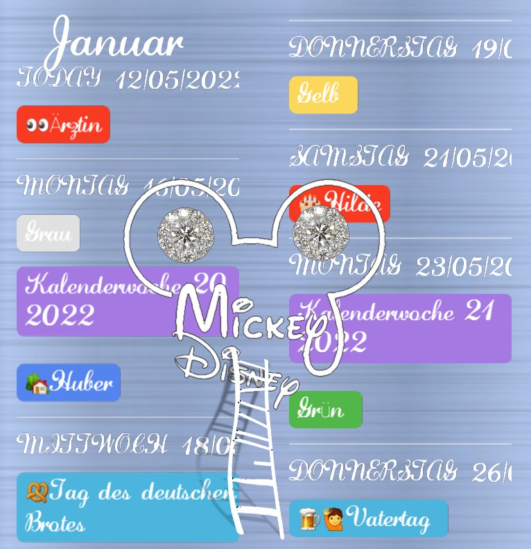  Termine Mickey Luxus 1