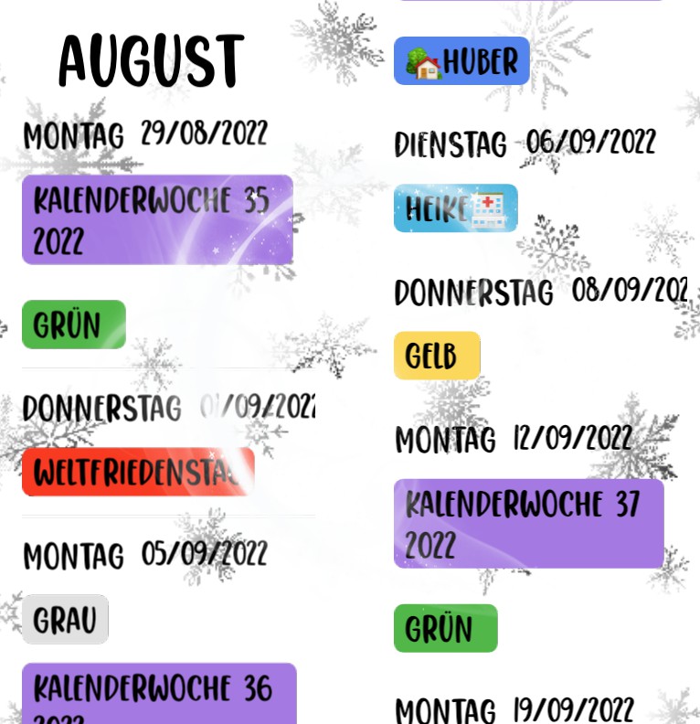 Agenda Snow Globe 