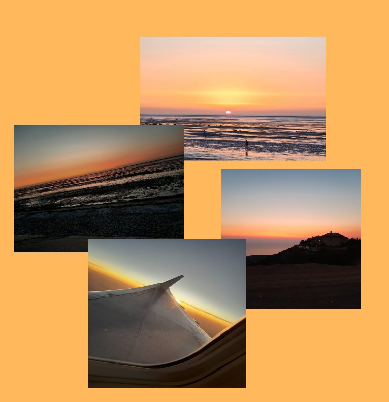 orange sunsets  