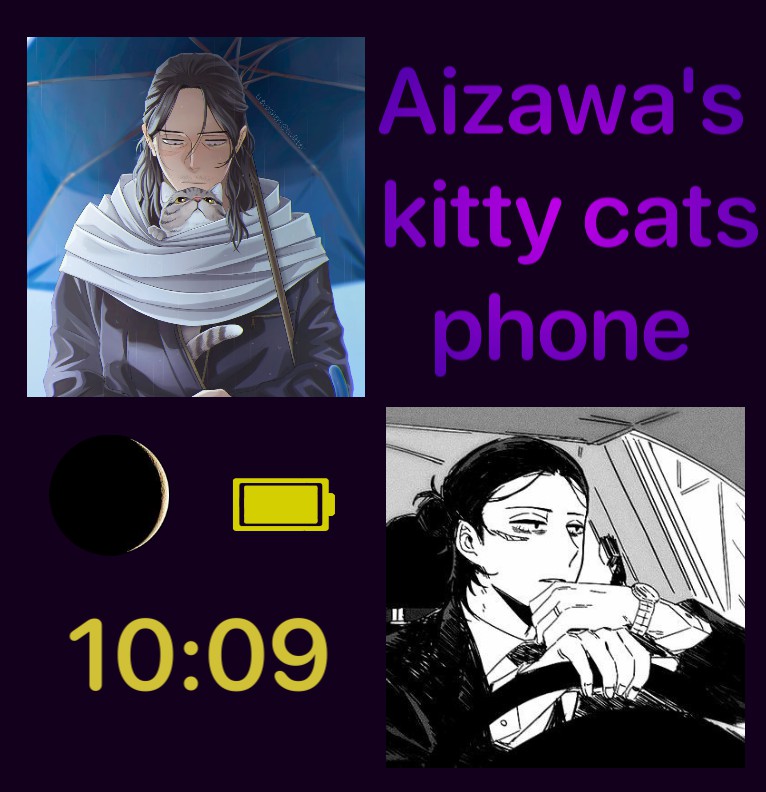Aizawas kitty cats phn