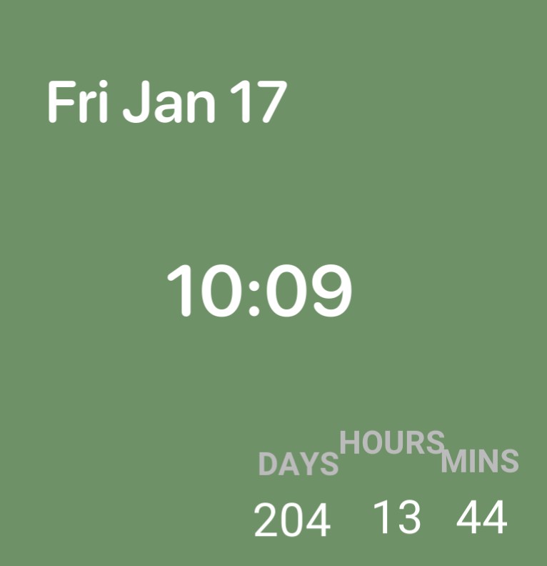 widget1