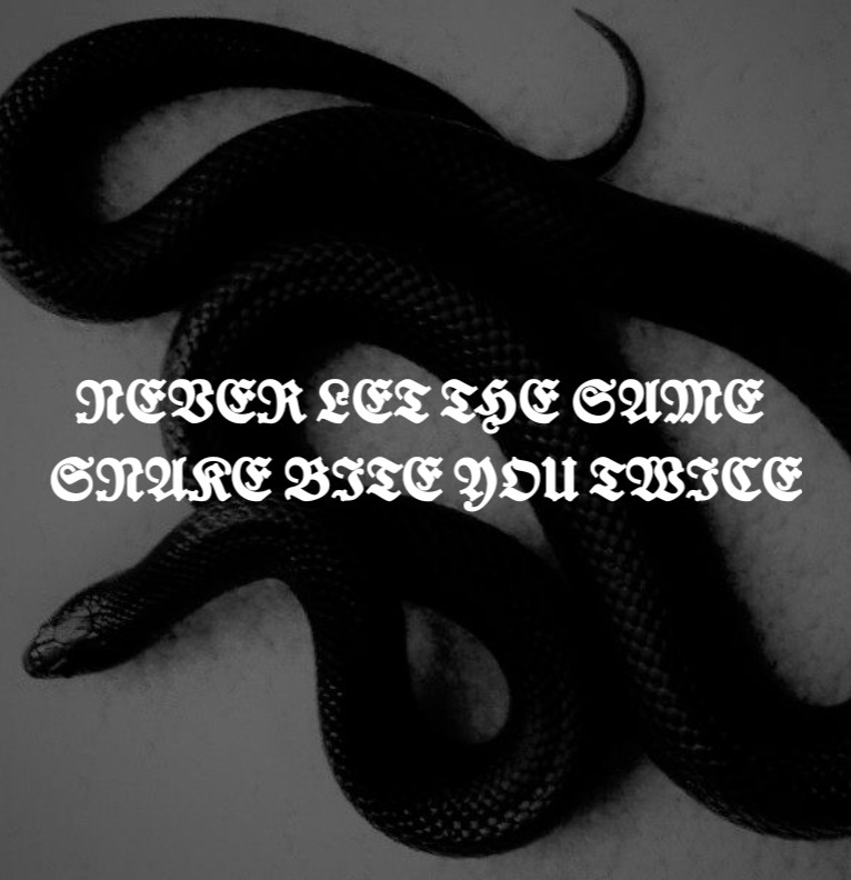 "Never Let The Same Snake Bite You Twice"