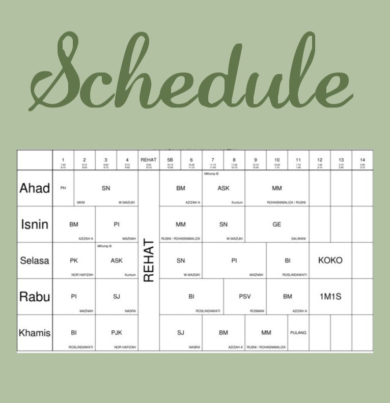 new schedule 