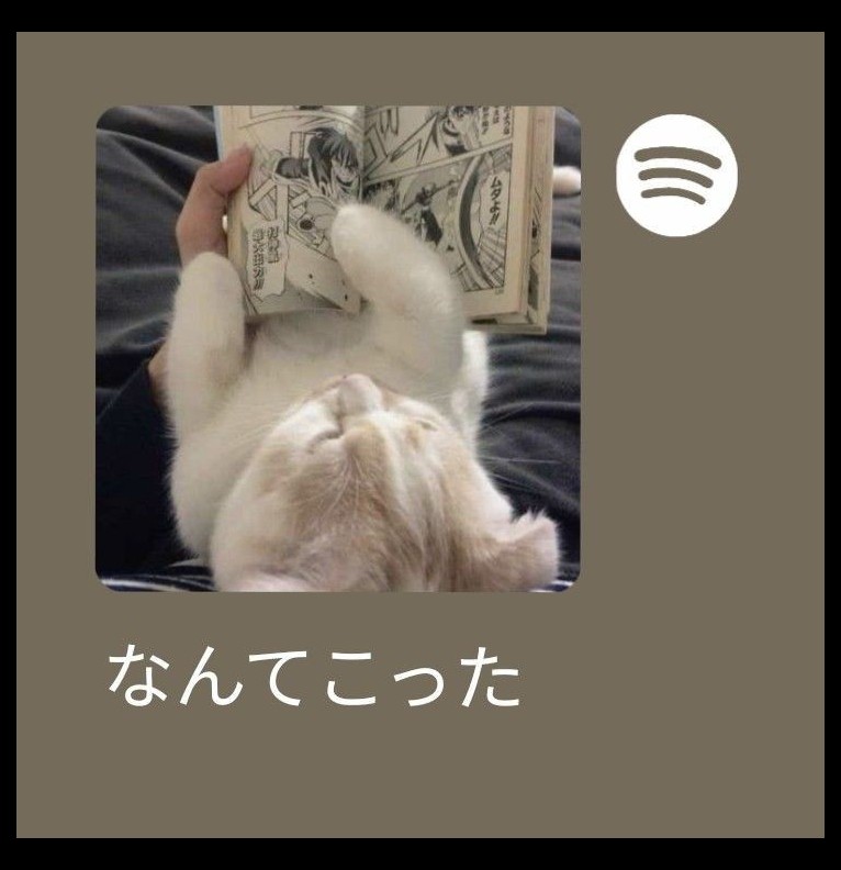 Catt widget 