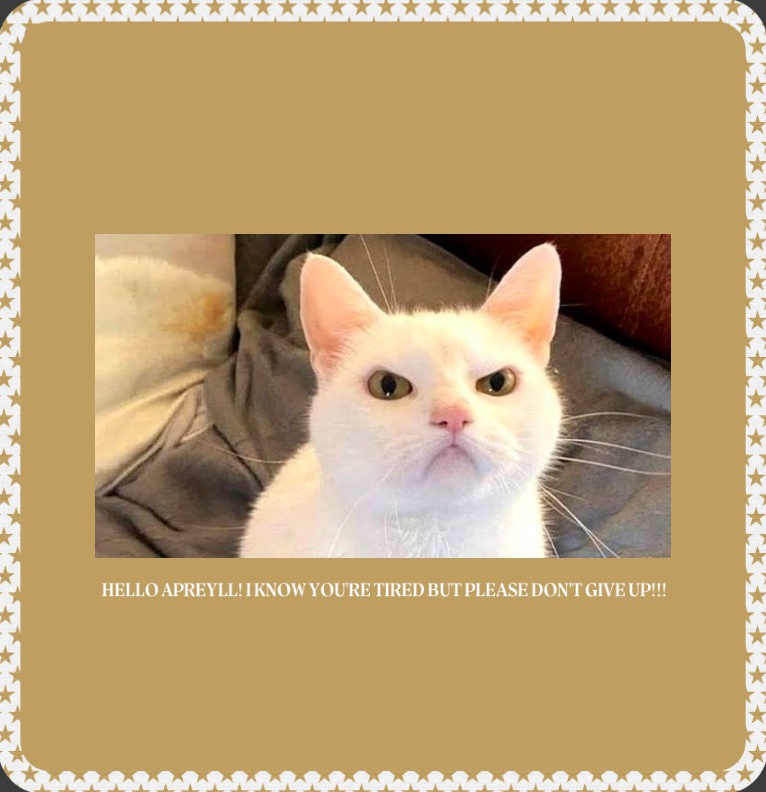 Meow Reminder 