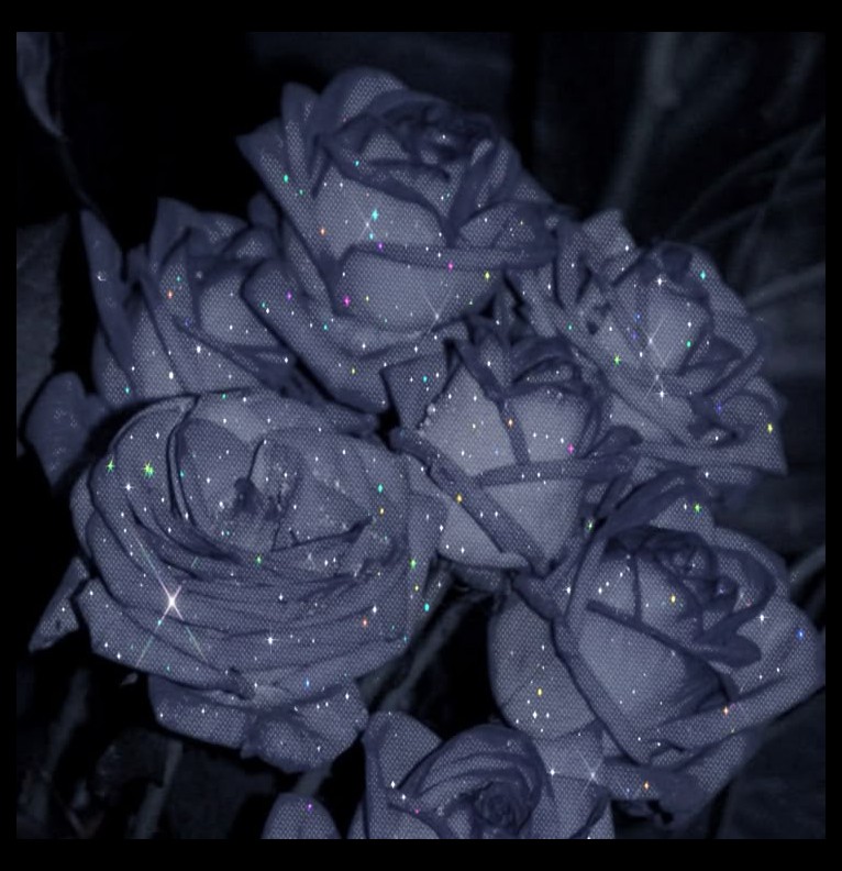 Blue roses