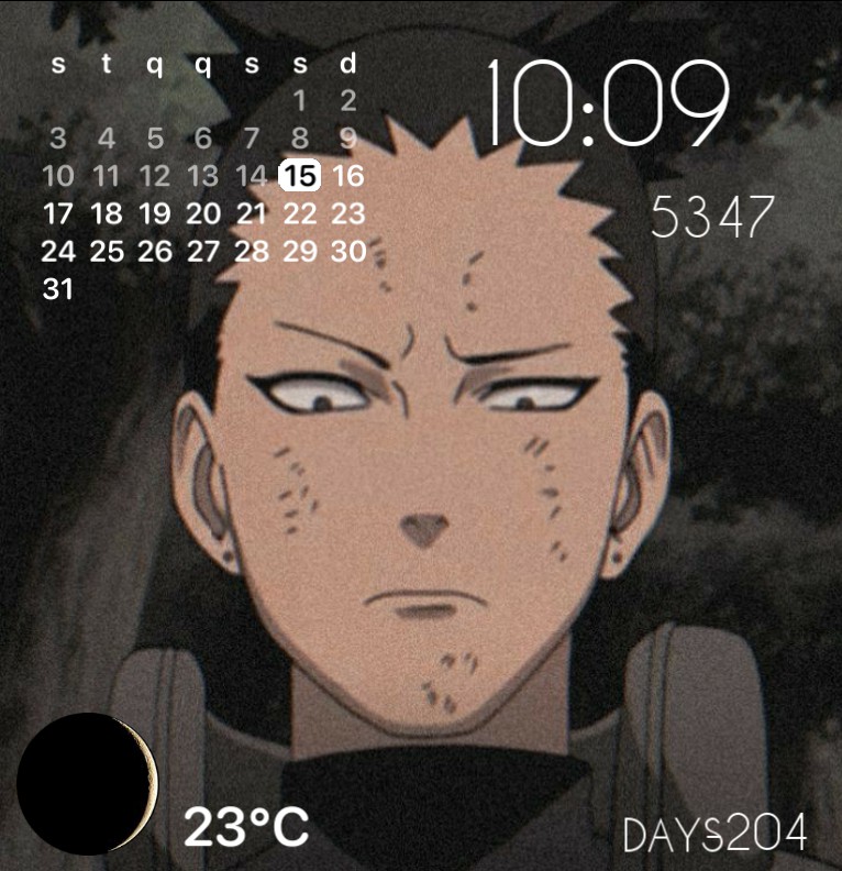 shikamaru Copy