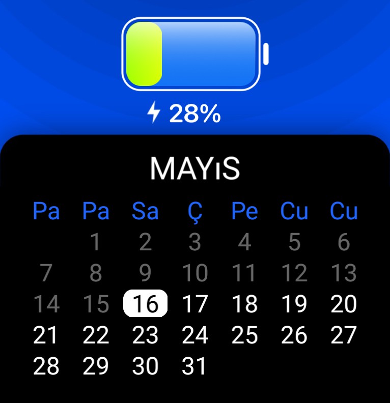 Cnt_Info Panel Calendar 
