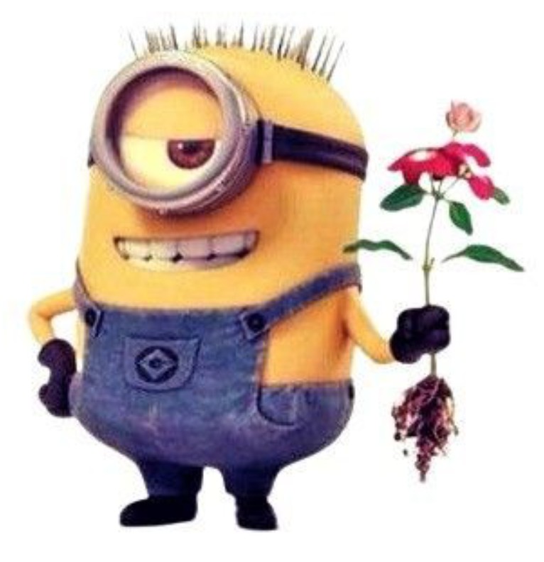 minion