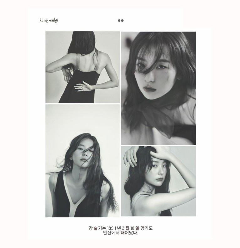 seulgi b & w