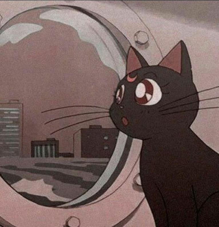 gato anime 