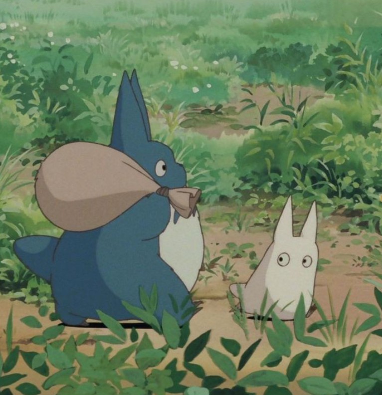  totoro