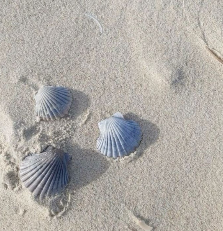 sand