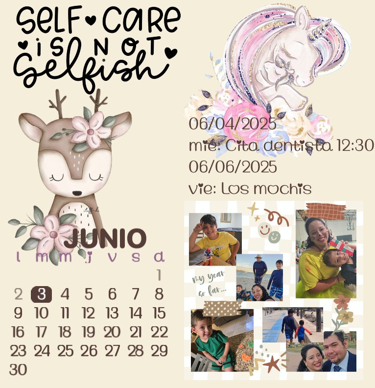 plannergirl Copy