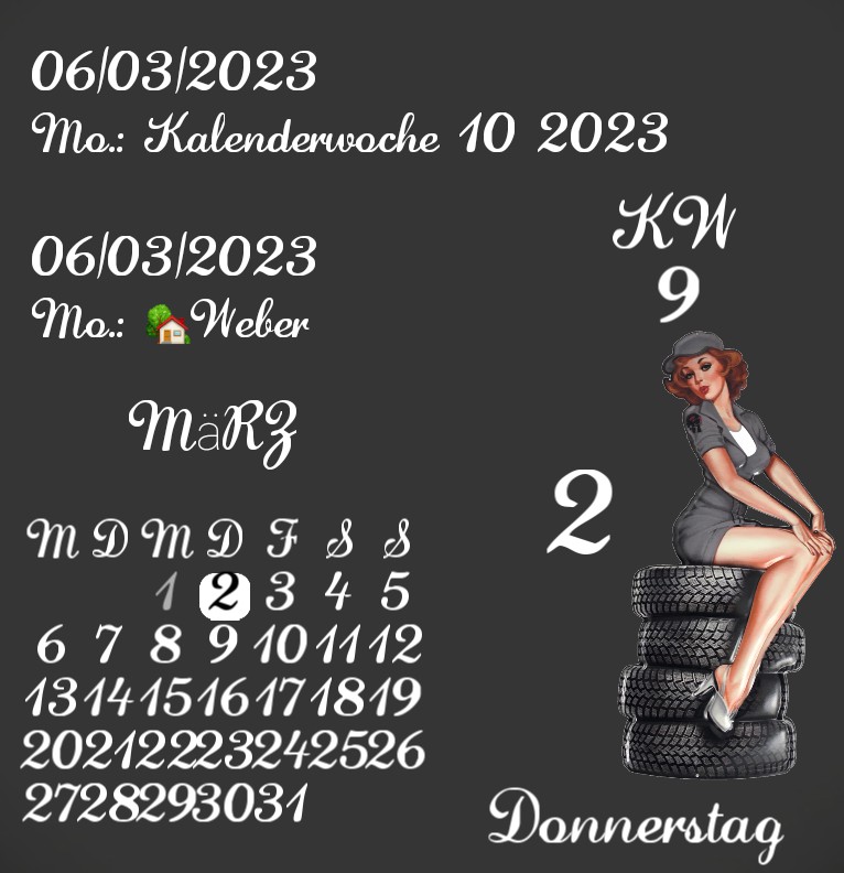 Kalender Reifen Pin Up 