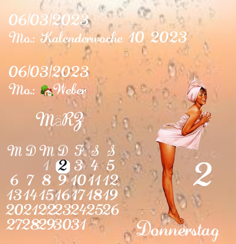 Kalender Shower Pin Up 