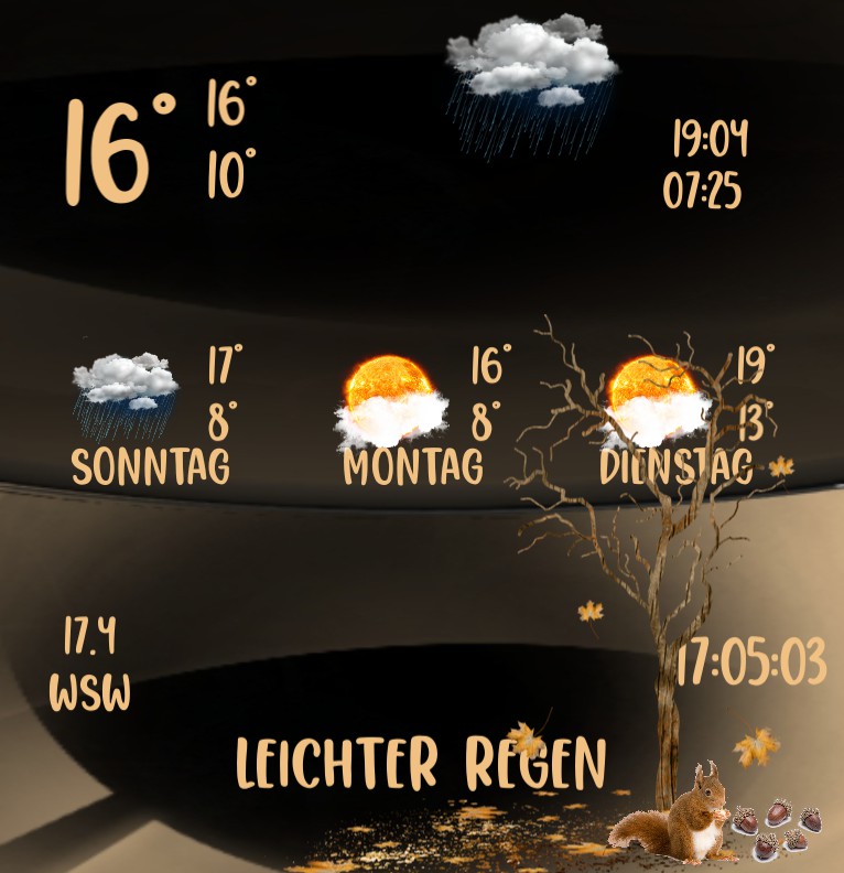 Wetter Eichhoernchen 