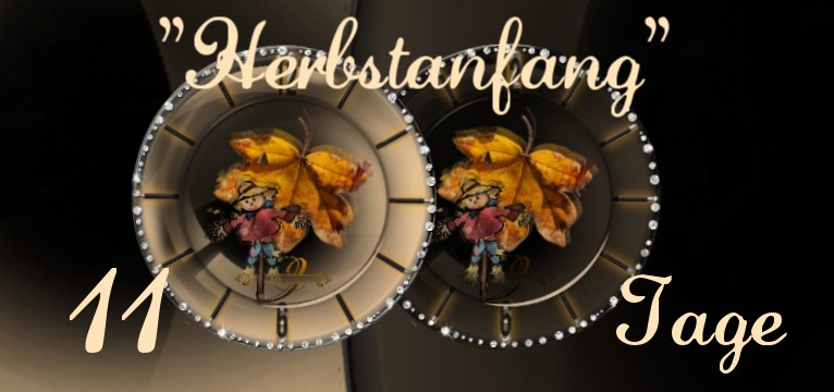  counter Privat Herbst Dim 
