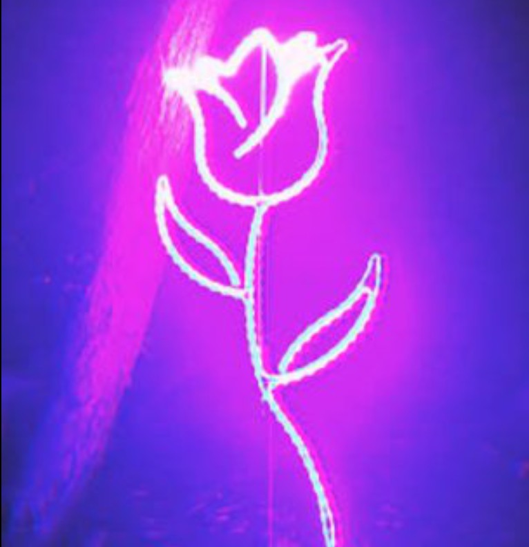 neon rose