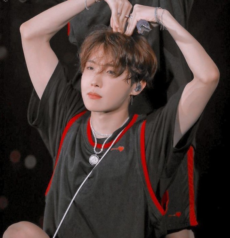 Hobi