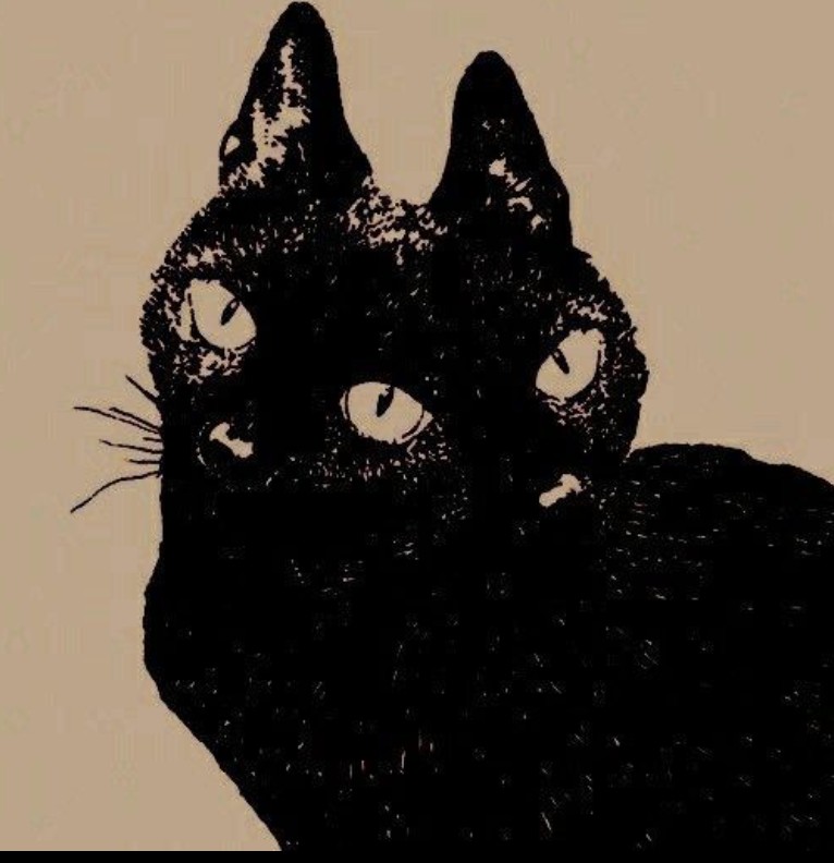 2 cats 