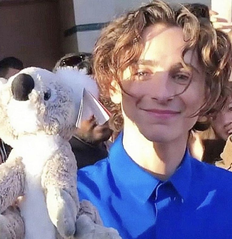 Timothee Chalamet