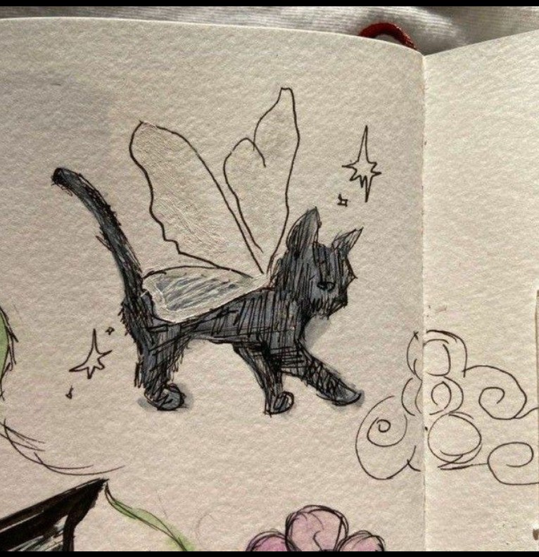 cat