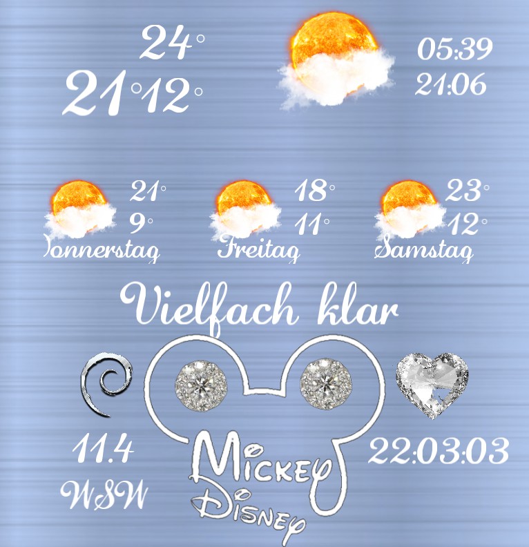 Wetter Mickey Luxus 1