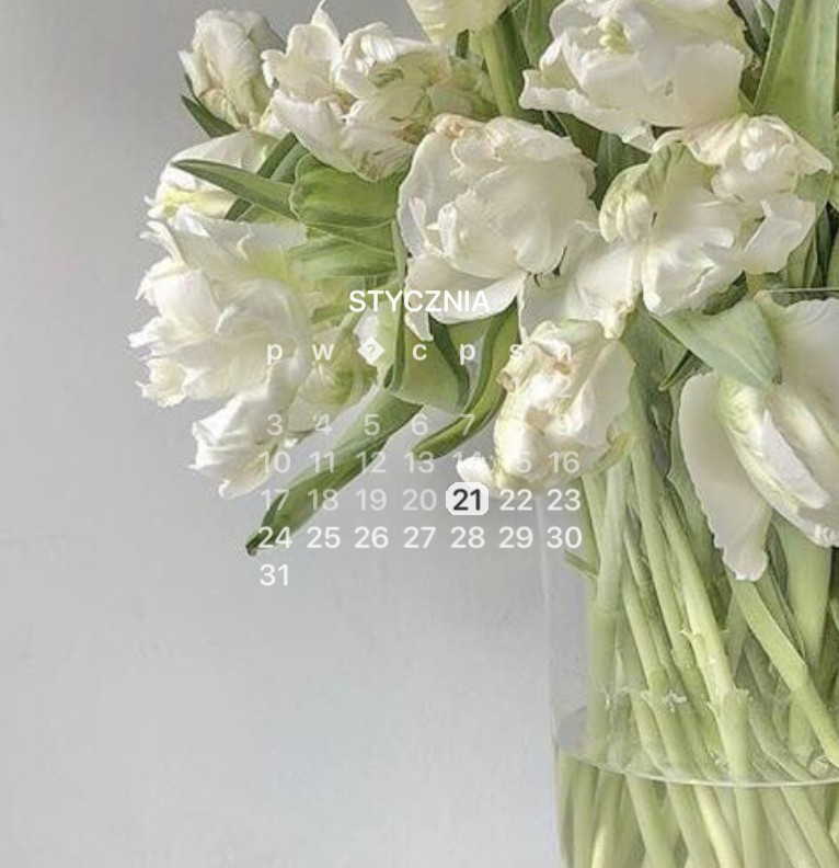 flower white nature