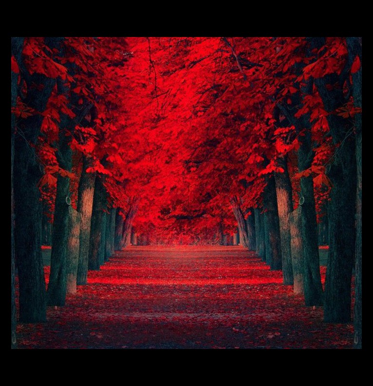 Red Wiget