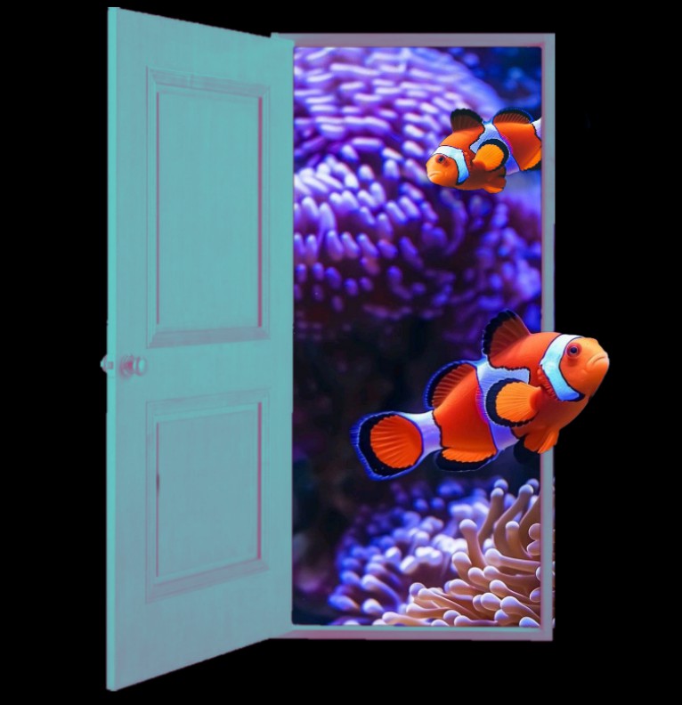 Escaping clownfish