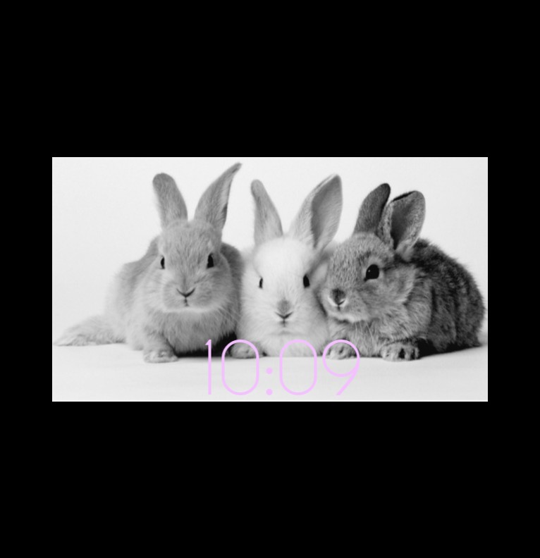 bunny