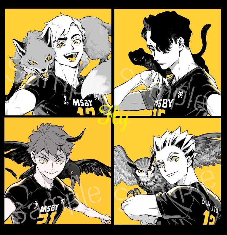 haikyuu boys