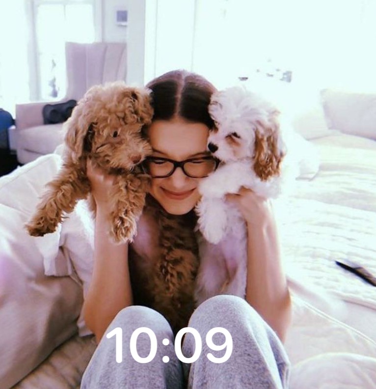Milli and dogs