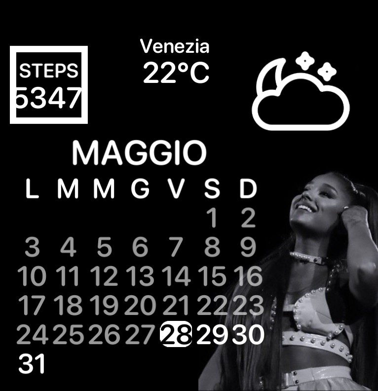 ariana widget