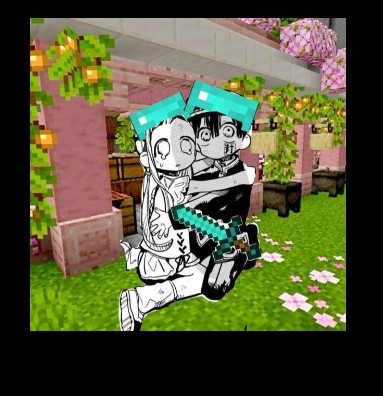 tbhk widget Copy