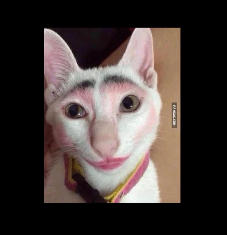 makeup