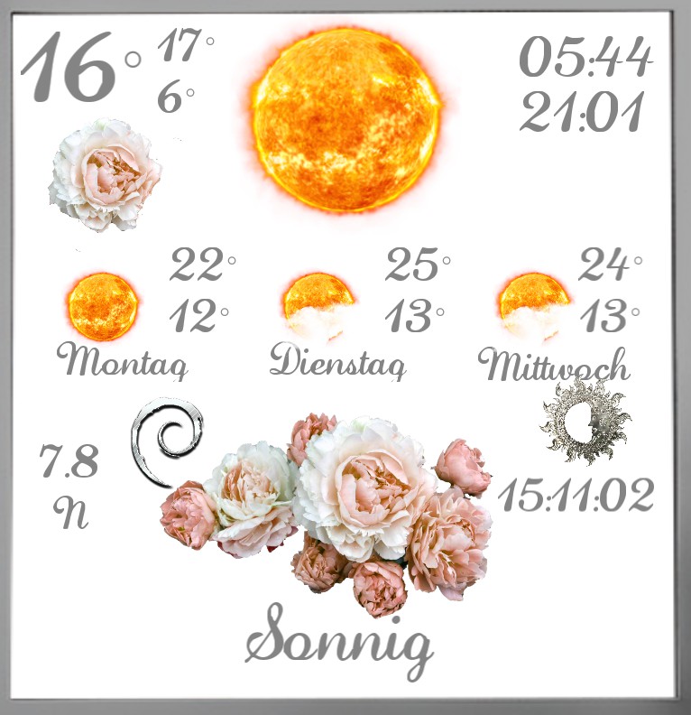 Widget Pfingstrosen 